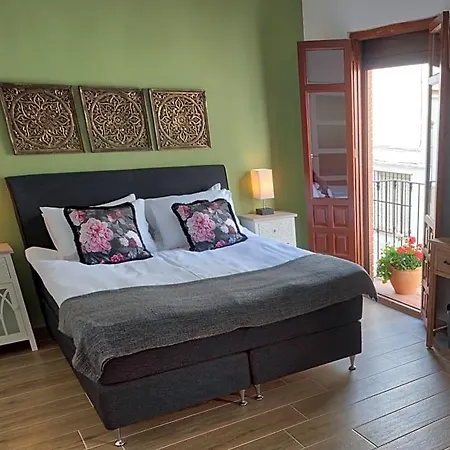 Bed & Breakfast Olive Tree Olvera