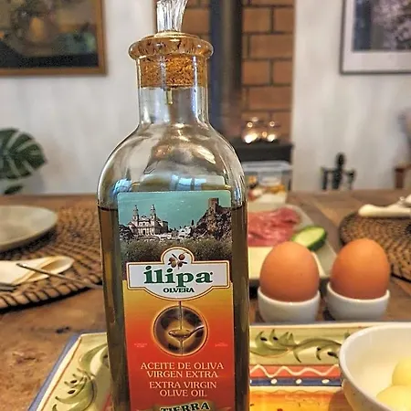 Olive Tree Bed and breakfast