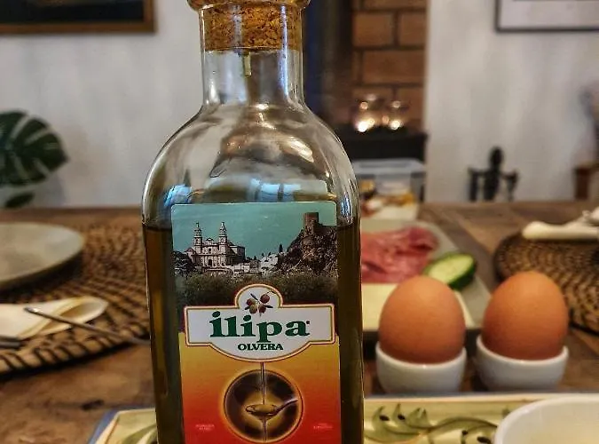 Oda ve Kahvaltı Olive Tree Olvera